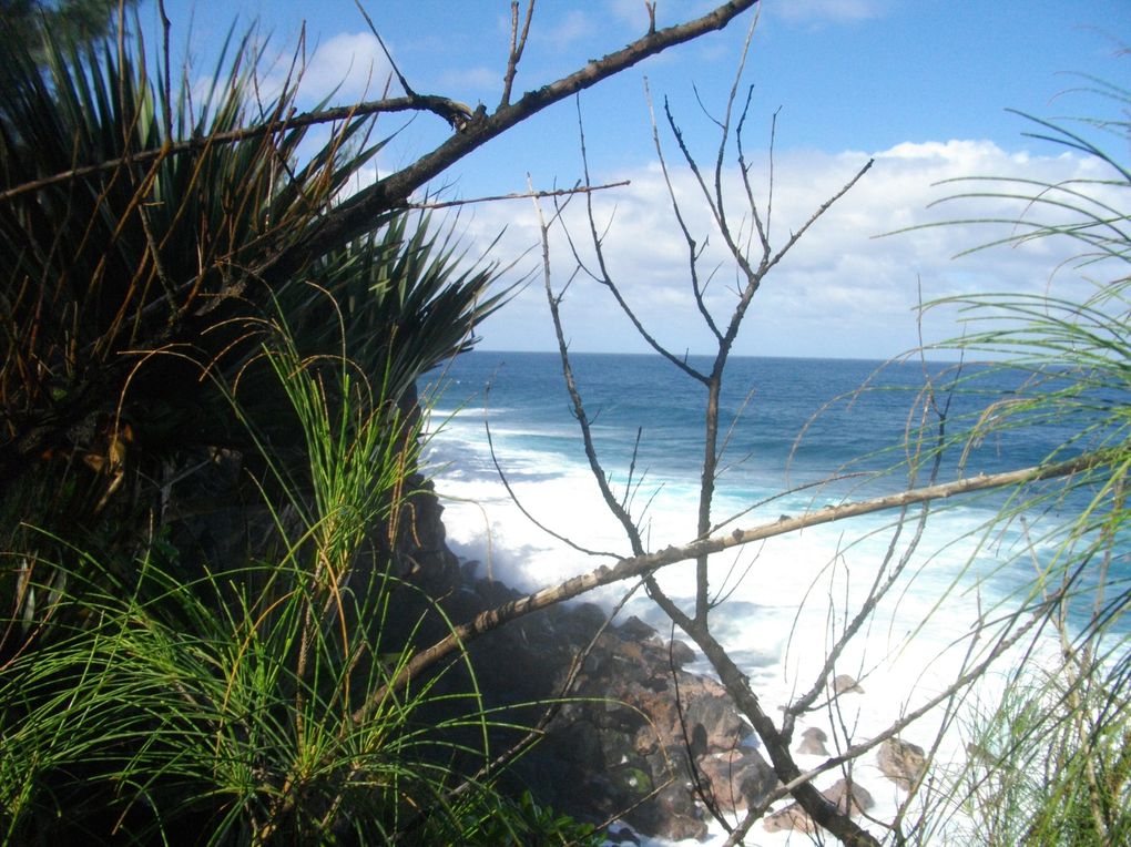 Album - La Réunion-la mer