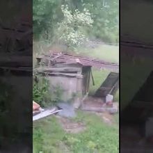 Castellane   Un loup aperçu à proximité d'une maison à Castellane au quartier de la Lagne. 
