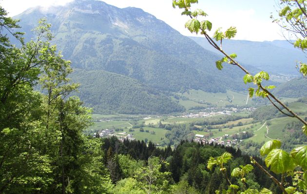 SORTIE DU 25 MAI DANS LE MASSIF DES BAUGES A JARSY