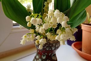 Un brin de muguet