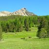 Plampinet - Briançon (Envers du Fontenil) le 19 juin 2008