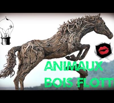Animaux en bois flotté 