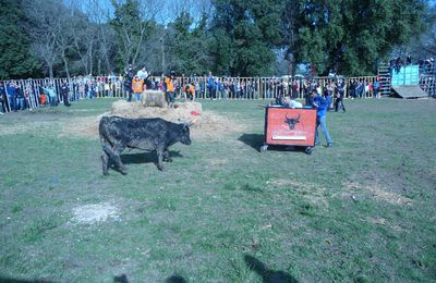 "Les printanières" : Week-end Taurin