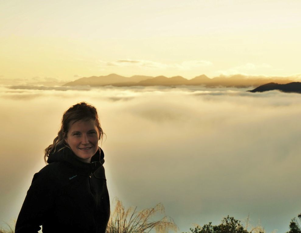 Mont Fyffe, vue sur la péninsule de Kaikoura.