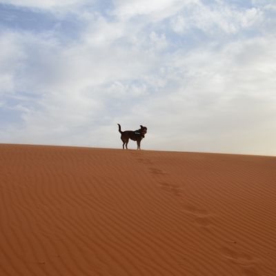 Merzouga (Maroc en camping-car)