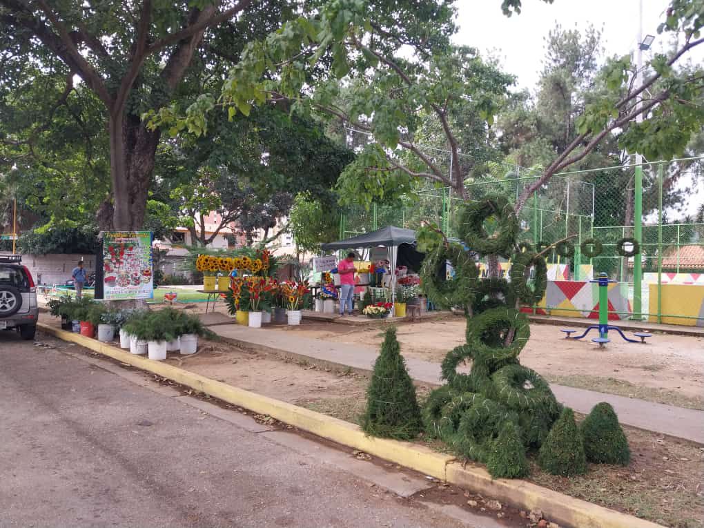 "Punto de Girasoles Milagro de Dios" ofrece variedad de flores al mayor y detal para la Navidad en el Trigal Norte (Publicidad)