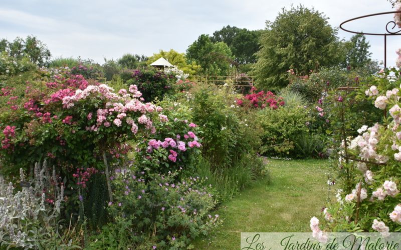 Mon jardin vu par Malo