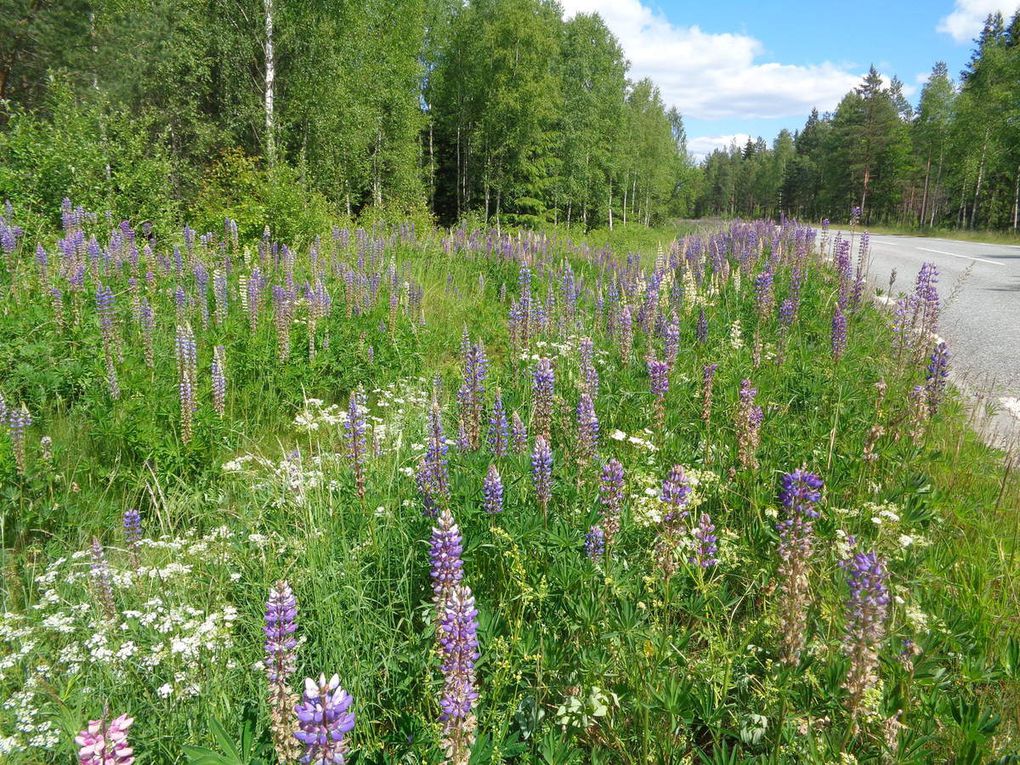 le chemin des écoliers jusqu'au camping d'Eksjö