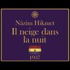 Il neige dans la nuit