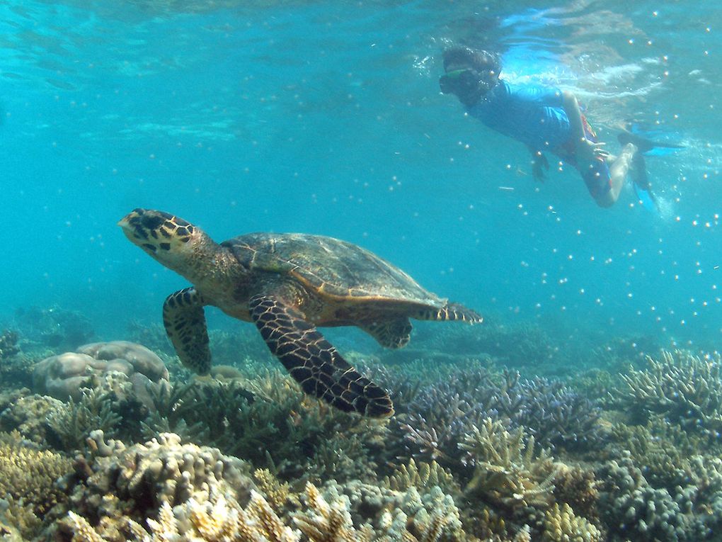 Les Maldives toujours les Maldives.......