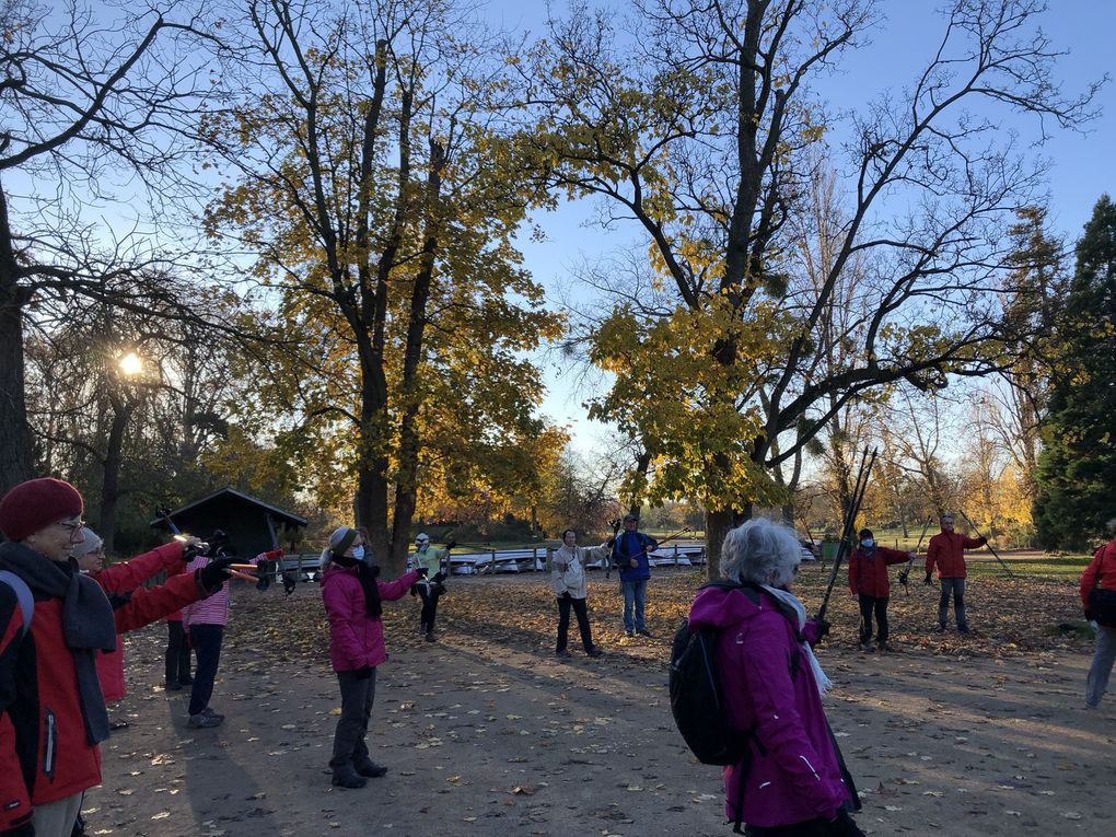 Marche nordique au bois de Vincennes, 8 km.