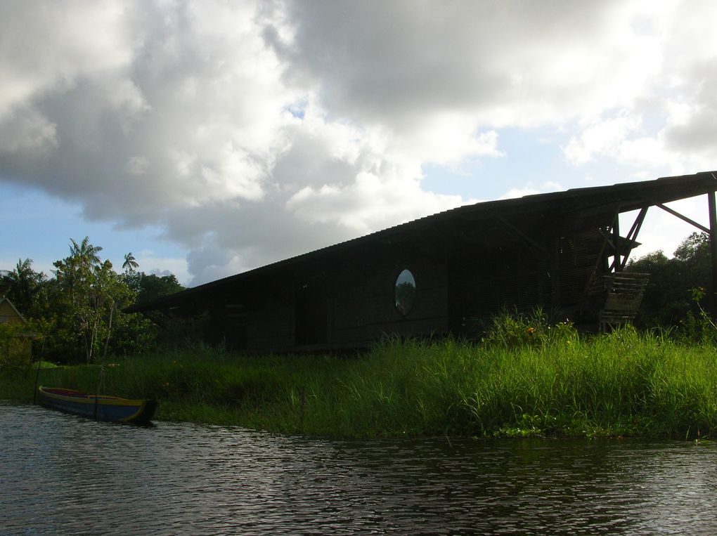 Album - 14-Guyane