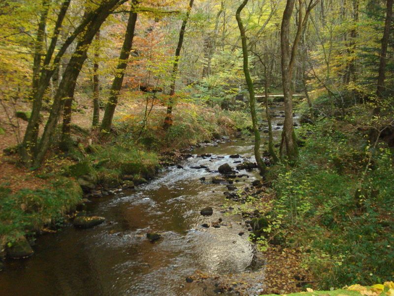 LUMIERES ET COULEURS DU MORVAN....automne 2013