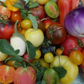 Achat de graines de tomate et information sur la culture et l'association