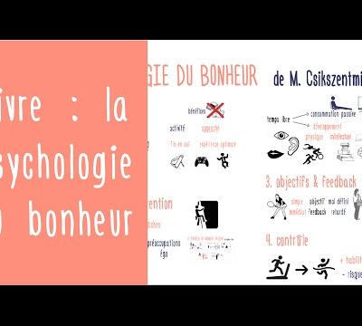 La psychologie du bonheur de M. Csikszentmihalyi