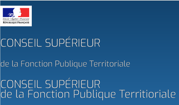 Le  Document unique d’évaluation des risques professionnels dans la Fonction publique territoriale. Séance Plénière du 28 février 2024