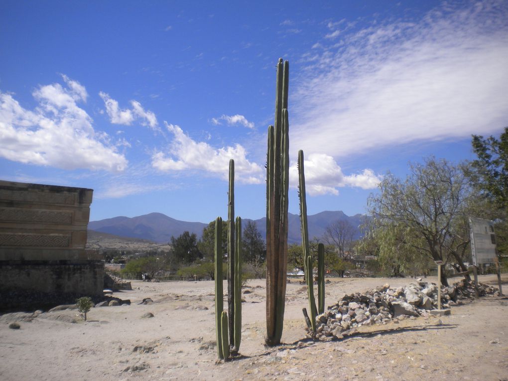 Chiapas, Oaxaca, Puebla, Mexico DF