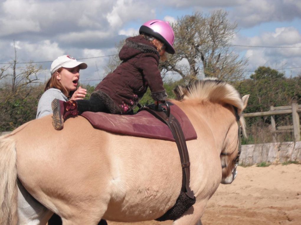 "La Traversée du Grand Canyon"

Sortie : "Equitation au Domaine d'Epona"
Sortie : "Les Chercheurs d'Oeufs aux Jardins de Cybèle"
Kermesse avec le Club PréAdos
Bricolages & Jeux...