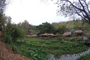 Thaïlande ~ Jour 6 ~ Chiang Mai / Chiang Rai