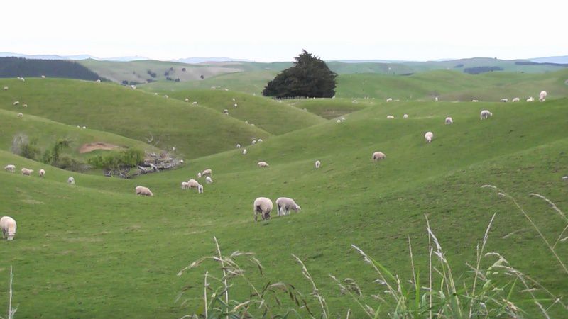 Album - Ile du nord - Fin Octobre (Nz)