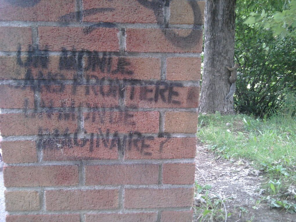 Avec une phrase brève mais percutante, des anonymes s'expriment sur un sujet précis : amour, exil, états d'âme, revendications... 