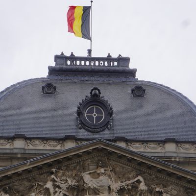 Belgique: fête la journée nationale entre défilé des militaires et de la société civile