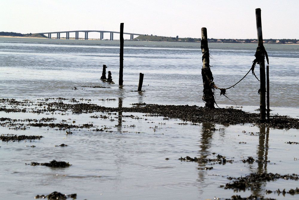 Album - Le passage du Gois Noirmoutier