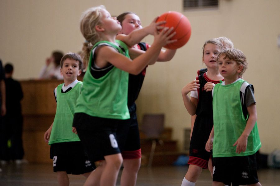 Diverses photos de l'équipe des mini-poussins de la saison 2009-2010