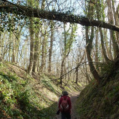 Randonnée de Méry-sur-Oise à Valmondois, 23,2 km.