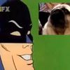 Le Chien Batman, enfin Batmaaaaaaannn !