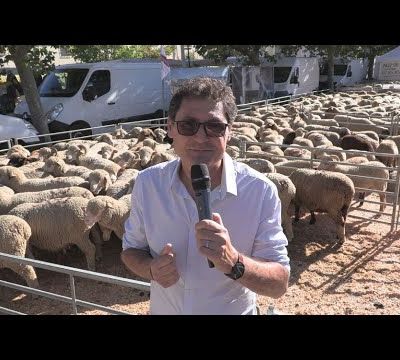 Les Toqués du Sud débarquent à Saint-André-les-Alpes pour une immersion gourmande