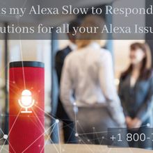 How to Fix Alexa Slow to Respond?