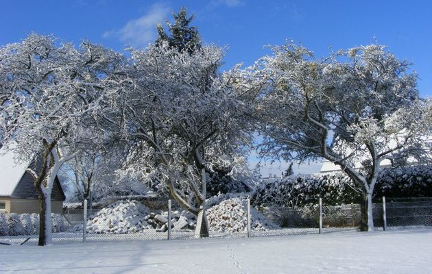 L'hiver est là, je tricote !!