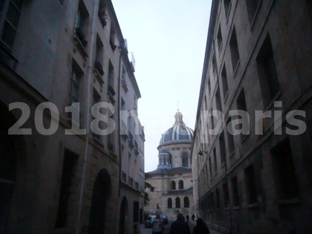  【PARIS】【サンジェルマン、芸術橋界隈Pont des Arts,Pont neuf】2018年3月9日09/03/2018