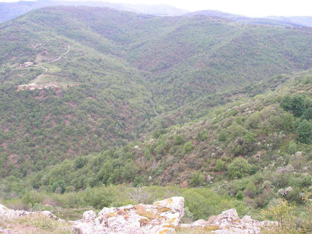 Les ruines du château de Pierre-Gourde dans la montagne ardéchoise...
Le château a été ruiné sur ordre de Richelieu et le moins que l'on puisse dire c'est que le boulot a été bien fait...
Mais le panorama reste magnifique...
Localisation : Ar