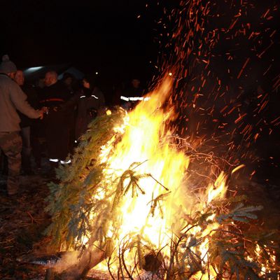 Les sapins de Noël de moins en moins brûlés