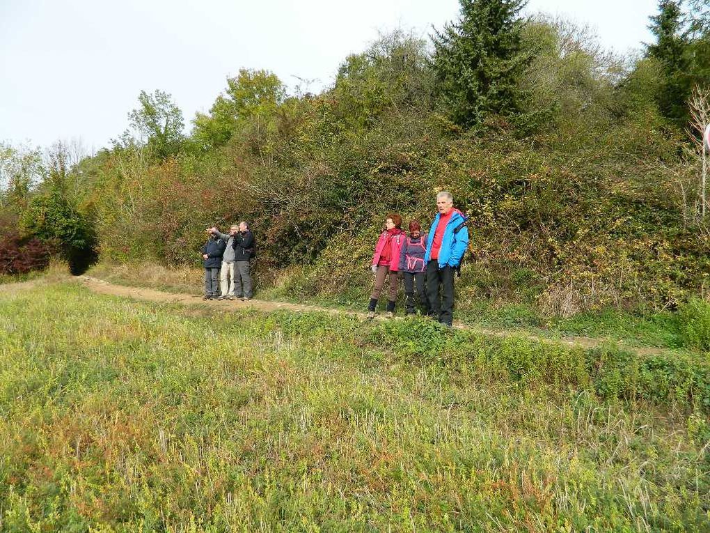 La Seine au dessus de Mantes - Amont et aval - les touristes admirent !!!