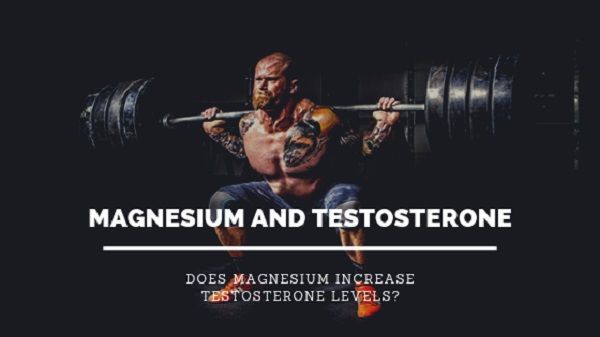 Does Magnesium Increase Testosterone- Best T-Boosters Review
