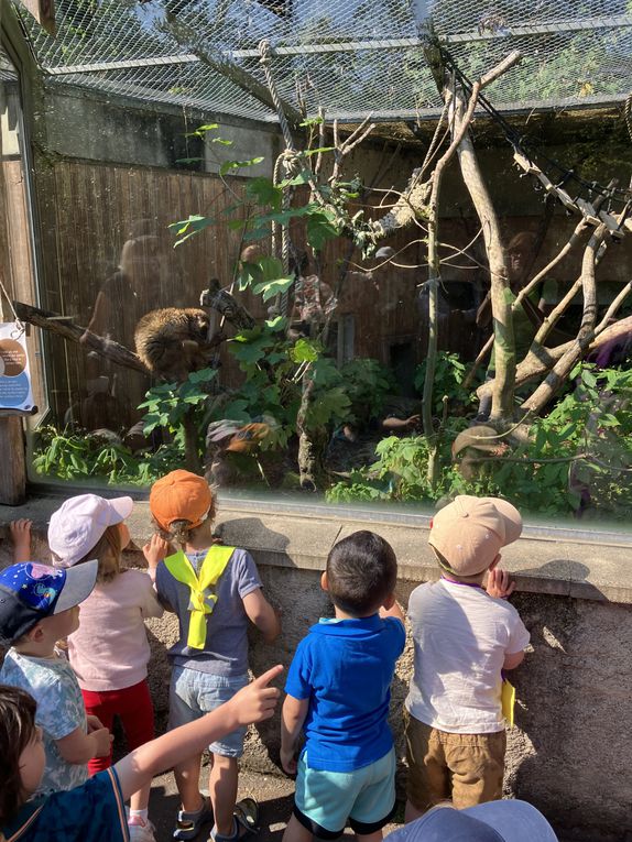 Les ateliers à livres ouverts au Zoo