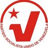 Patrulleros del PSUV del Mcpio Zamora eligieron sus cuatro delegados al I Congreso Extraordinario