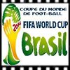 Coupe du monde de football 2014 BRESIL