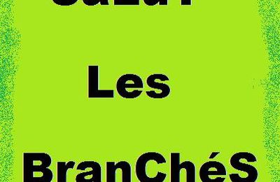 SaLuT LeS BranChéS l'émission des branchés !!!!!