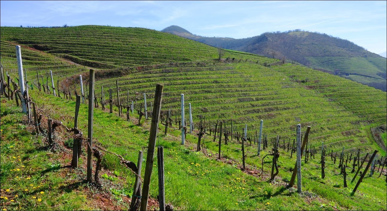 Randonnée à Ascarat / Elurti ( Pyrénées-Atlantiques 64 ) AA