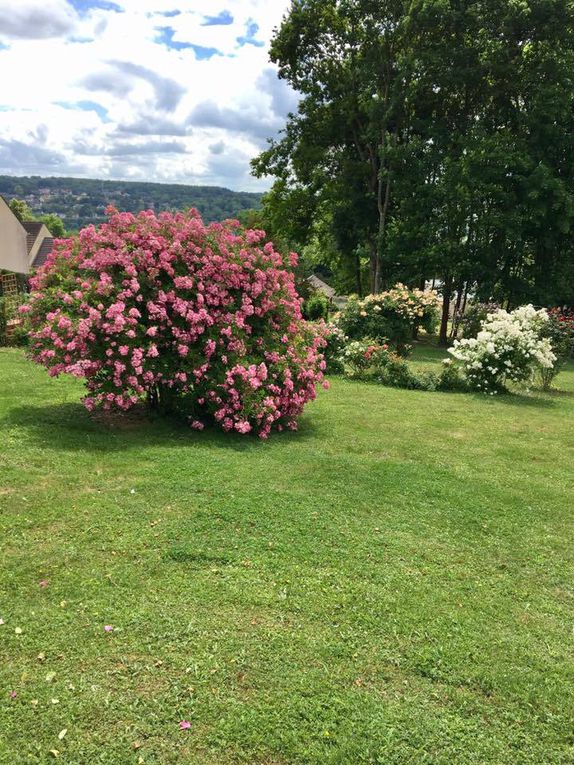 635. Dimanche 4 Juin, Morintru et le Bois de la Barre.