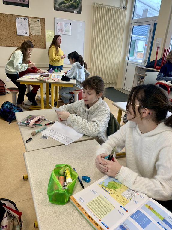 Après un temps d'accueil et de présentation avec le principal du collège, Monsieur Israel et la CPE Madame Jégou, les élèves ont été répartis en demi-groupes dans deux classes.