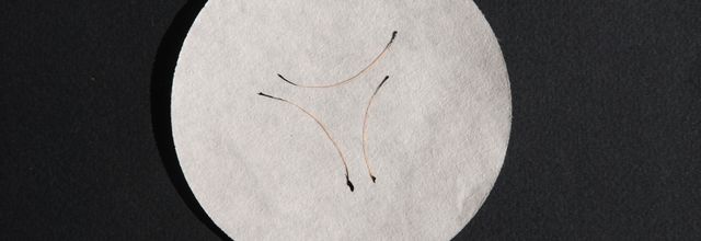 Dizionario amoroso dei capelli T : Tre