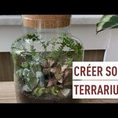 Créer son propre terrarium de plantes !
