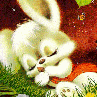 Bonne nuit - Lapin - Rivière - Etoiles - Gif animé - Gratuit