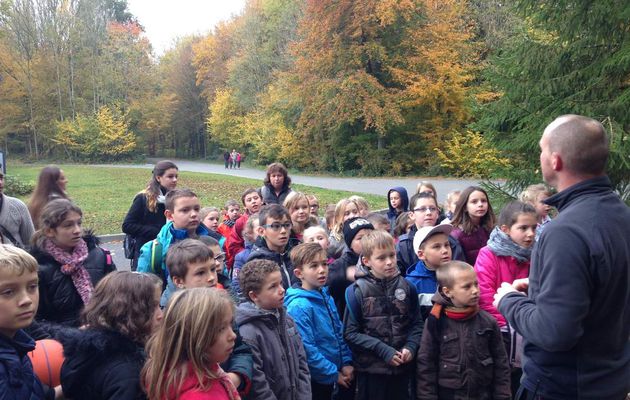 Une journée au parc Olhain pour les 6-17 ans 