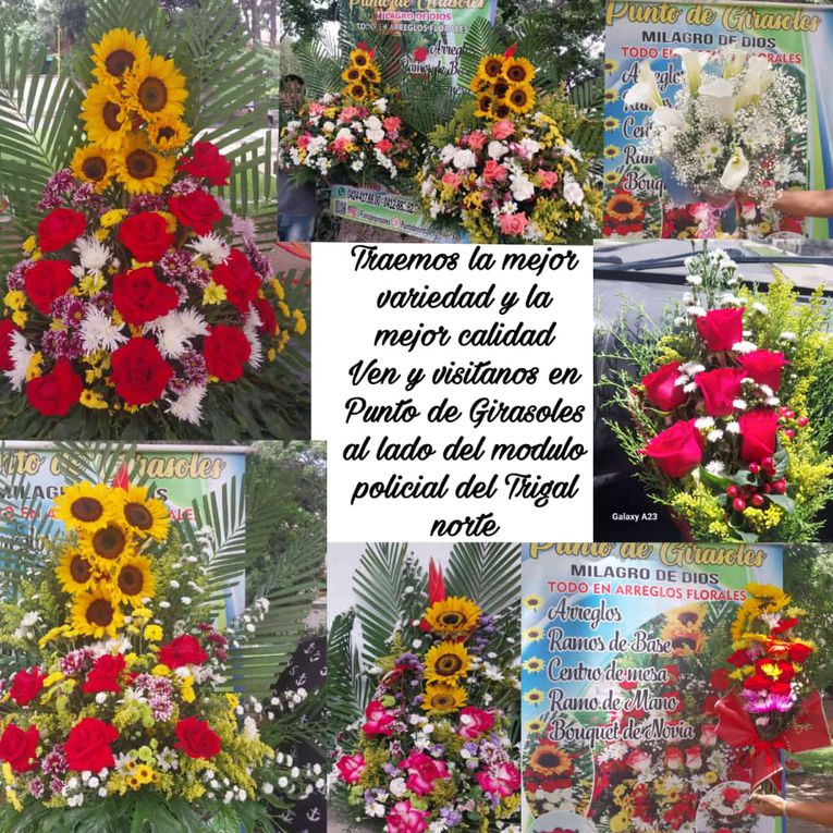&quot;Punto de Girasoles Milagro de Dios&quot; ofrece variedad de flores al mayor y detal en el Trigal Norte (Publicidad)
